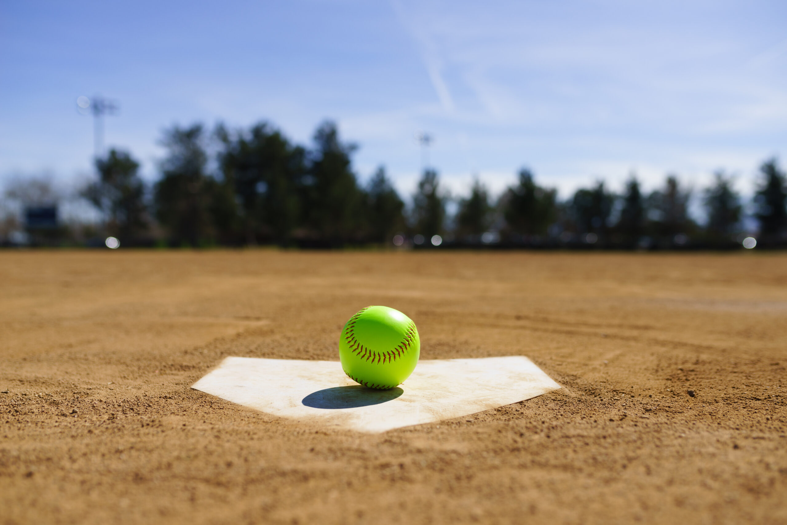 Elmwood Park Girls Softball League - The Official Home of The Elmwood ...